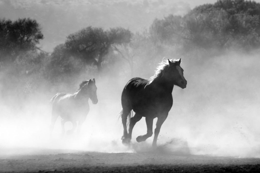 The Horse Has Bolted: World Events