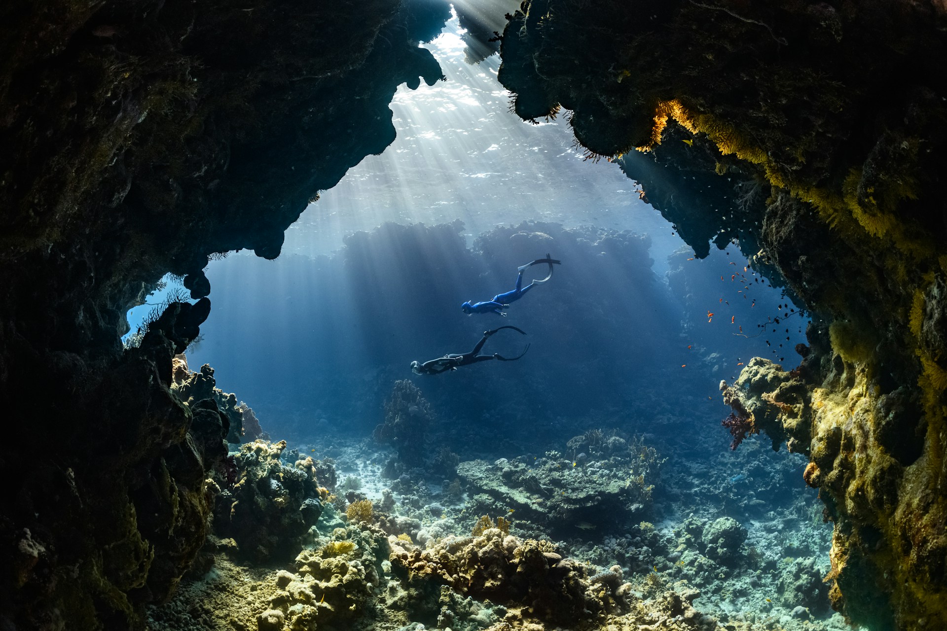 Neom yx7TJle8LhM unsplash