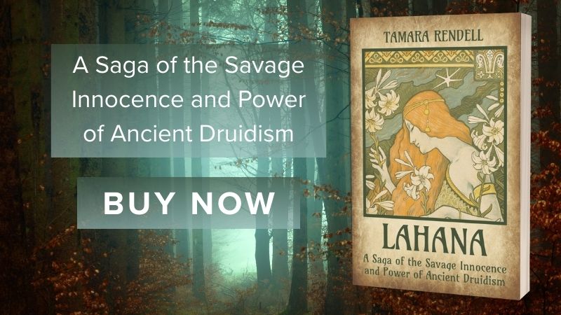 Book cover with forest background. Link to purchase.